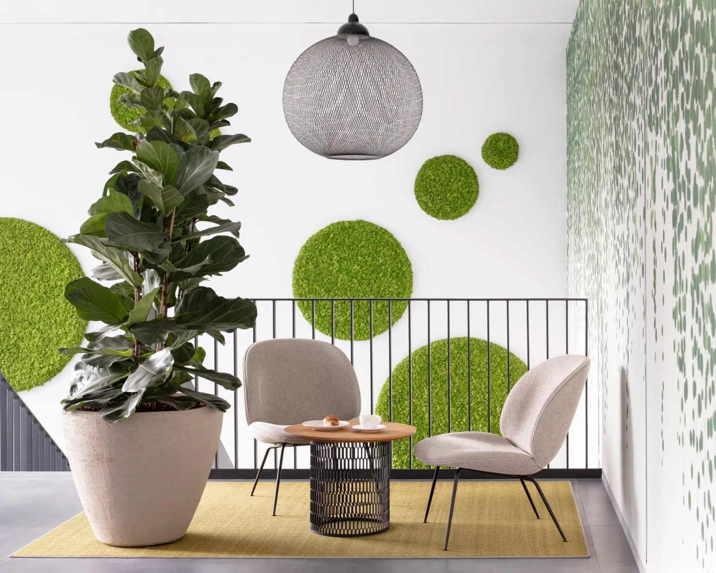 Sitzecke mit Loungesesseln, Feigenpflanze und Moosbildern